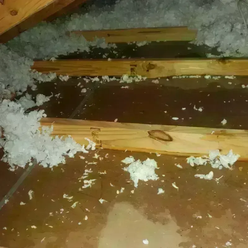 Attic Water Damage in Charleston, AR