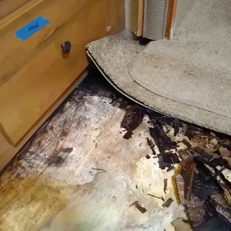 Best Wood Floor Water Damage Service in Charleston, AR